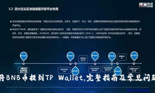 如何将BNB币提到TP Wallet，完整指南及常见问题解答