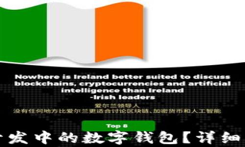 
什么是区块链开发中的数字钱包？详细解析与应用前景