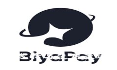 虚拟币钱包详解：如何选择与使用最适合你的加