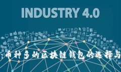 全面解析：币种多的区块链钱包的选择与使用指