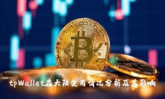 tpWallet在大陆使用情况分析及其影响
