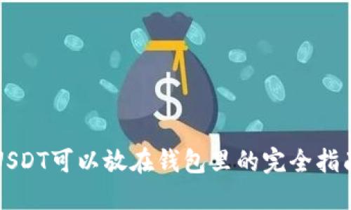 USDT可以放在钱包里的完全指南