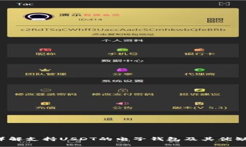  详解支持USDT的电子钱包及其优缺点