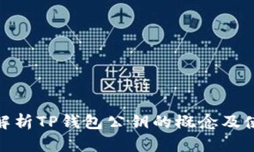 : 深入解析TP钱包公钥的概念及使用技巧