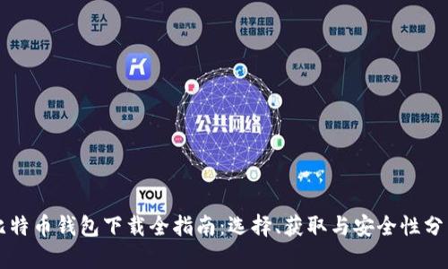比特币钱包下载全指南：选择、获取与安全性分析