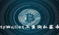 如何在tpWallet上查询私募币的线索