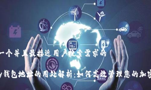 思考一个并且最接近用户搜索需求的

Topay钱包地址的用处解析：如何高效管理您的加密资产