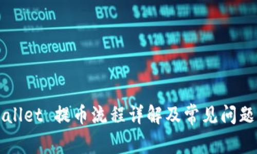 tpWallet 提币流程详解及常见问题解决