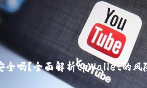 tpWallet安全吗？全面解析tpWallet的风险与安全性