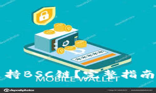 tpWallet是否支持BSC链？完整指南与常见问题解析