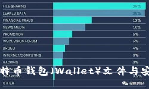 如何下载比特币钱包（Wallet）文件与安全使用指南
