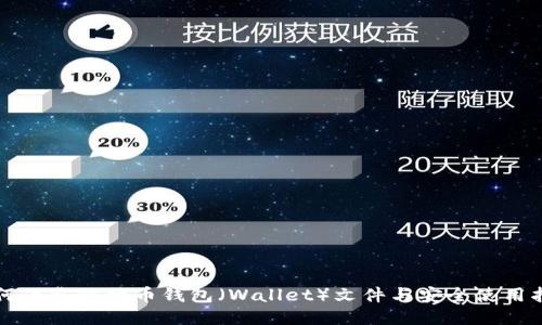 如何下载比特币钱包（Wallet）文件与安全使用指南