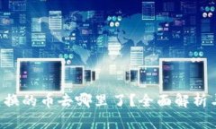 tpWalletbxh兑换的币去哪里了？全面解析与常见问题