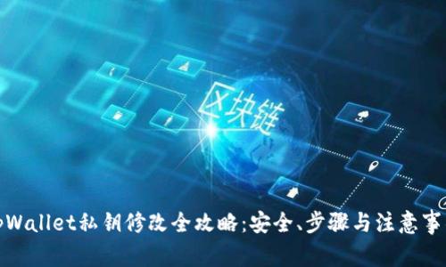 tpWallet私钥修改全攻略：安全、步骤与注意事项