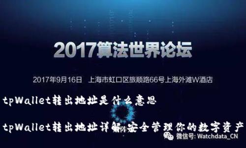 tpWallet转出地址是什么意思

tpWallet转出地址详解：安全管理你的数字资产