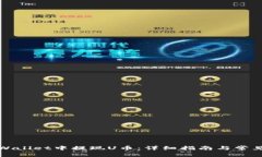 如何在tpWallet中提现U币：详细指南与常见问题解