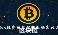 # tpWallet投资项目被转走的真相与对策分析