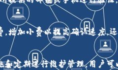 如何建立安全且高效的比特币钱包：详细指南与