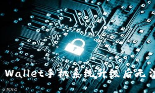 如何解决TP Wallet手机系统升级后无法打开的问题