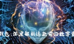 大众区块链钱包：深度解析这款前沿数字资产管