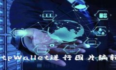 全面解析：使用tpWallet进行图片编辑的技巧与建议