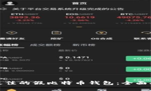 如何选择最佳的假比特币钱包：全面指南与建议