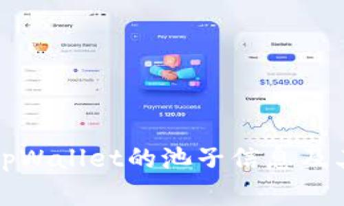 如何查看tpWallet的池子信息及其应用分析