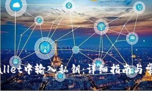 如何在tpWallet中输入私钥：详细指南与常见问题解答