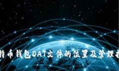 比特币钱包DAT文件的位置及管理指南