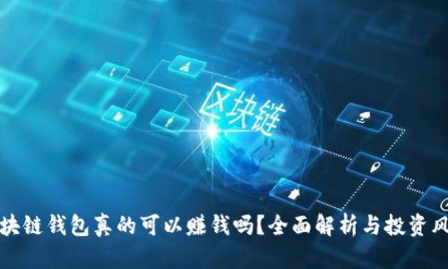 区块链钱包真的可以赚钱吗？全面解析与投资风险