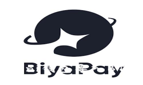 如何将USDT Omni钱包导入BTC地址：详细指南